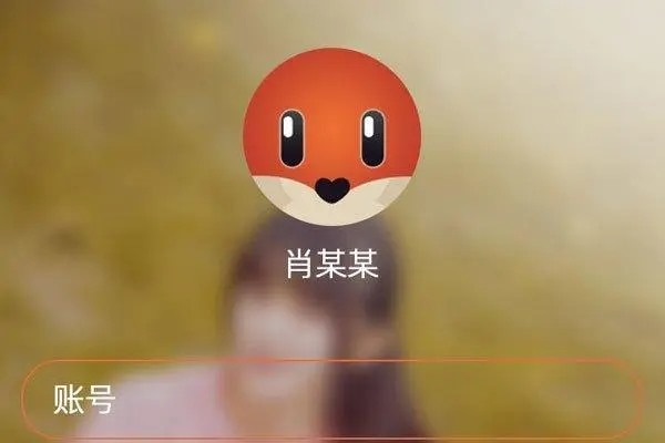 东南亚十大聊天app排名